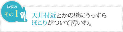 天井付近とかの壁にうっすら ほこりがついて汚いわ。