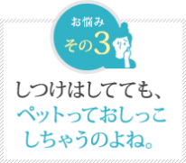 しつけはしてても、ペットって おしっこしちゃうのよね。